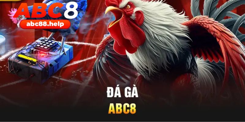 Đá gà online ABC8