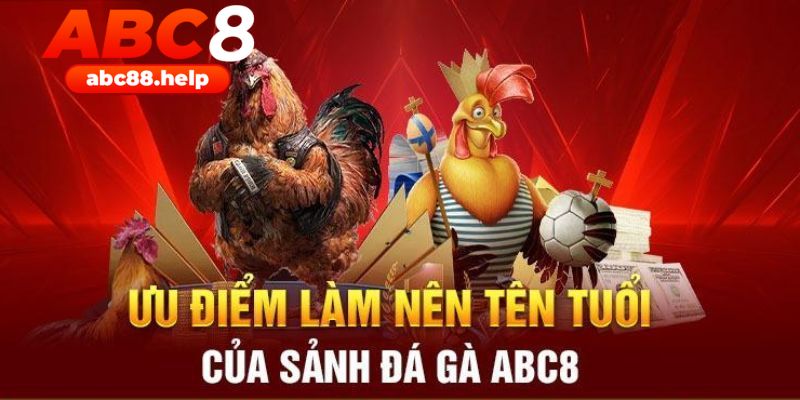 Làm giàu khi khám phá chuyên mục đá gà online ABC8